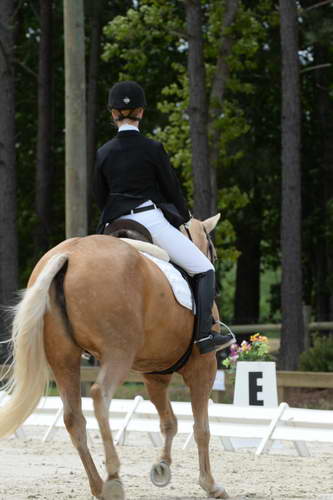 So8ths-5-3-13-Dressage-5579-TaylorPence-Goldie-DDeRosaPhoto