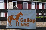GallopNYC Sunrise-Farm-06-26-22-1202-DDeRosaPhoto