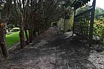 Gardens-IPE-LloydHarbor-5-10-19-7936-DDeRosaPhoto