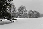 31 Fort Hill-12-17-2020-Snowstorm--0060-DDeRosaPhoto