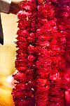 Vivuchi Wedding-11-22-23-2016-9581-DDeRosaPhoto