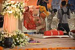 Vivuchi Wedding-11-22-23-2016-9893-DDeRosaPhoto