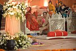 Vivuchi Wedding-11-22-23-2016-9902-DDeRosaPhoto