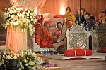 Vivuchi Wedding-11-22-23-2016-9903-DDeRosaPhoto