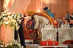 Vivuchi Wedding-11-22-23-2016-9920-DDeRosaPhoto