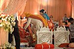 Vivuchi Wedding-11-22-23-2016-9925-DDeRosaPhoto