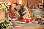 Vivuchi Wedding-11-22-23-2016-9947-DDeRosaPhoto