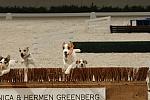 2-WIHS-Terriers-10-27-05-DDPhoto.JPG