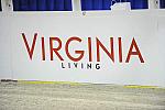 WIHS-10-23-09-DER_6483-Sponsors-VirginiaLiving-DDeRosaPhoto.jpg