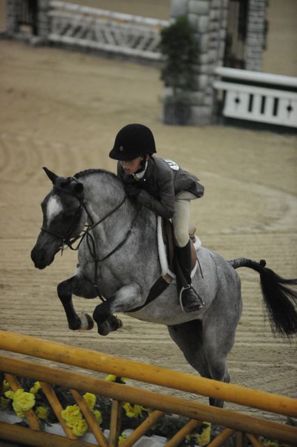 2110-BritannasLittlePrince-LucasPorter-LegacyCup-PonyFinals-5-17-08-DeRosaPhoto.jpg