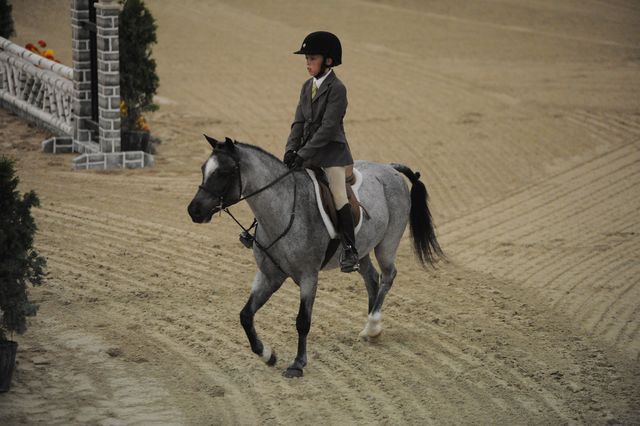 2111-BritannasLittlePrince-LucasPorter-LegacyCup-PonyFinals-5-17-08-DeRosaPhoto.jpg