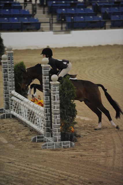 2120-FarFromHome-LuluFarish-LegacyCup-PonyFinals-5-17-08-DeRosaPhoto.jpg