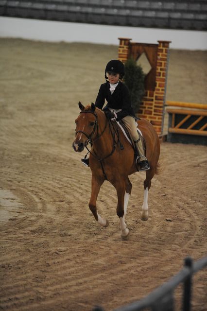 2154-ShamsHuckleberry-MeredithDarst-LegacyCup-PonyFinals-5-17-08-DeRosaPhoto.jpg