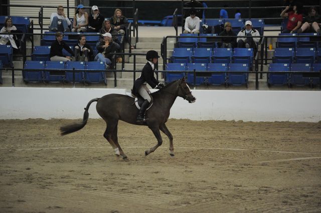 2197-MindYourStep-BrittniRaflowitz-LegacyCup-PonyFinals-5-17-08-DeRosaPhoto.jpg