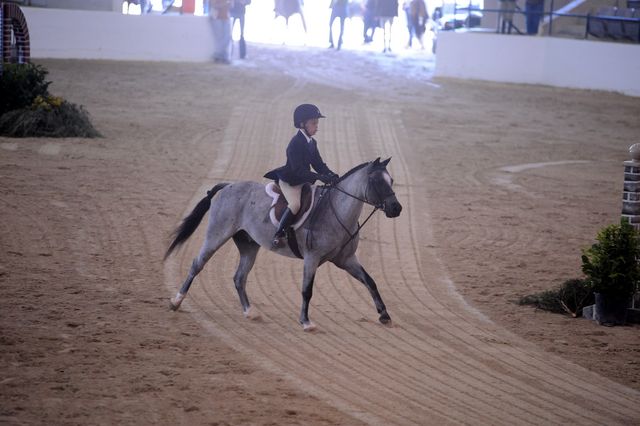 791-BrittanasLittlePrince-PaulineCook-LegacyCup-PonyHunterGoRound-5-10-08-DeRosaPhoto.jpg