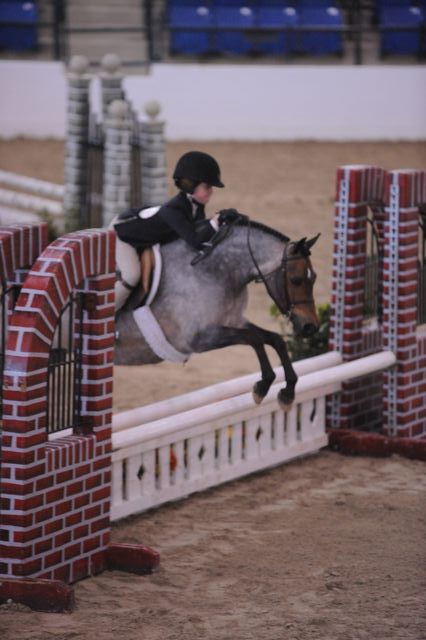 804-ChamplainClementine-ChloeJohnson-LegacyCup-PonyHunterGoRound-5-10-08-DeRosaPhoto.jpg