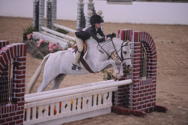 815-FirstBlue-MeredithDarst-LegacyCup-PonyHunterGoRound-5-10-08-DeRosaPhoto.jpg