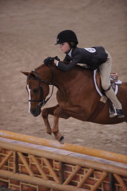 843-AllAboutMe-MeredithDarst-LegacyCup-PonyHunterGoRound-5-10-08-DeRosaPhoto.jpg