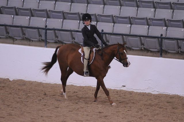 847-AllAboutMe-MeredithDarst-LegacyCup-PonyHunterGoRound-5-10-08-DeRosaPhoto.jpg