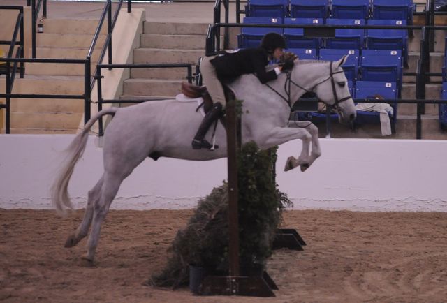 294-Skylar-LorettaMayer-Pro3'6GoRound-LegacyCup-5-9-08-DeRosaPhoto.jpg