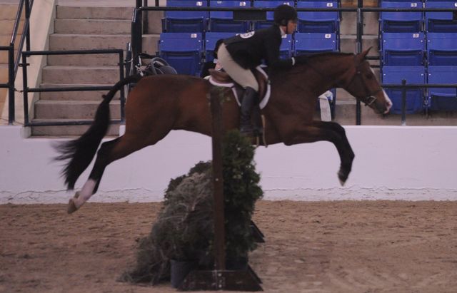 362-Insignia-LoriCannady-Pro3'6GoRound-LegacyCup-5-9-08-DeRosaPhoto.jpg