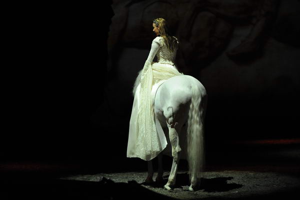 Cavalia-6-8-10-113-DDeRosaPhoto.jpg