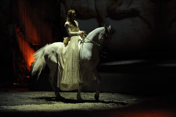 Cavalia-6-8-10-117-DDeRosaPhoto.jpg