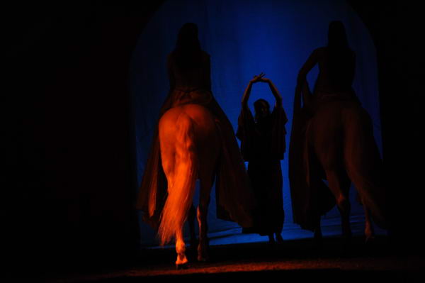 Cavalia-6-8-10-135-DDeRosaPhoto.jpg