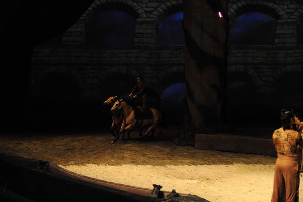 Cavalia-6-8-10-203-DDeRosaPhoto.jpg