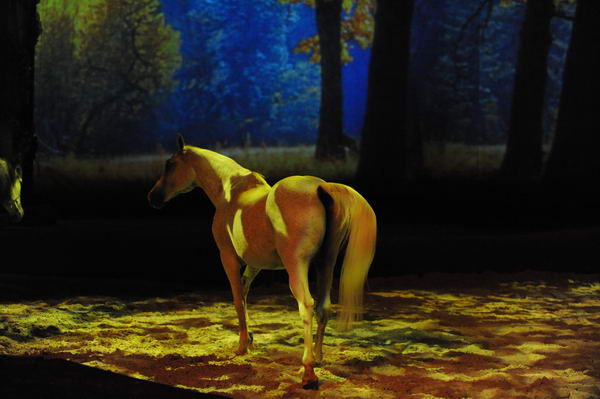 Cavalia-6-8-10-219-DDeRosaPhoto.jpg