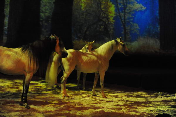 Cavalia-6-8-10-223-DDeRosaPhoto.jpg