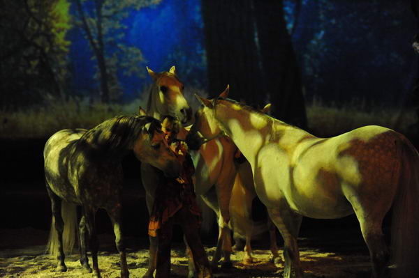 Cavalia-6-8-10-225-DDeRosaPhoto.jpg