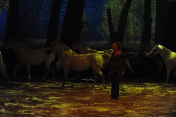 Cavalia-6-8-10-233-DDeRosaPhoto.jpg