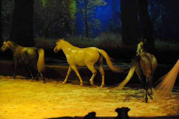 Cavalia-6-8-10-239-DDeRosaPhoto.jpg