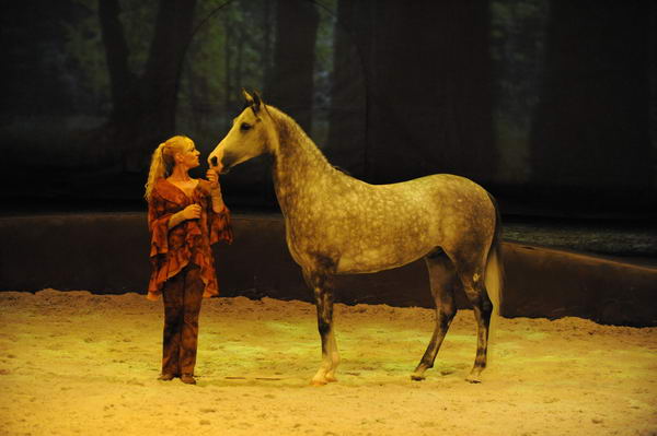 Cavalia-6-8-10-246-DDeRosaPhoto.jpg