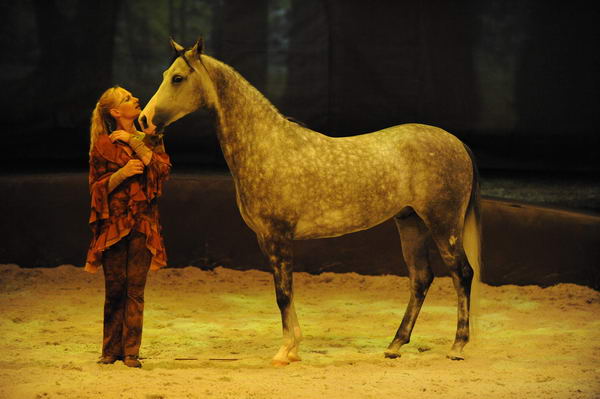 Cavalia-6-8-10-247-DDeRosaPhoto.jpg