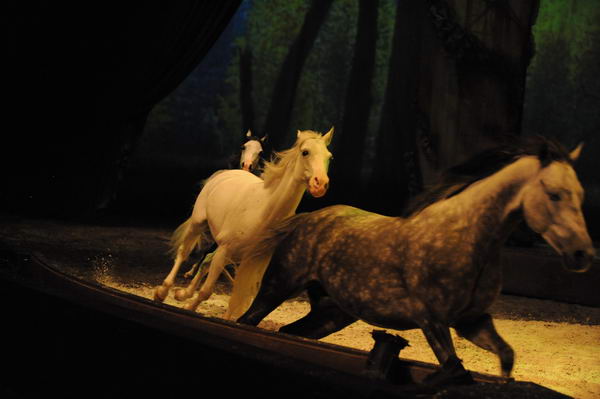 Cavalia-6-8-10-252-DDeRosaPhoto.jpg