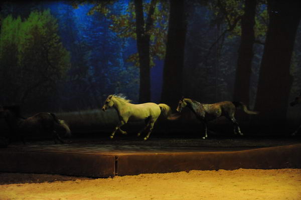 Cavalia-6-8-10-254-DDeRosaPhoto.jpg