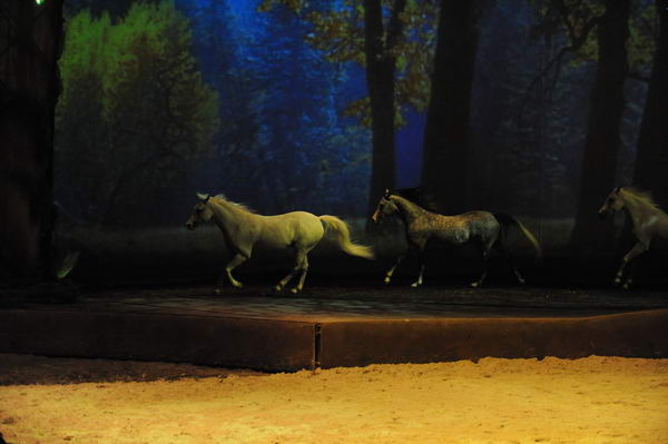 Cavalia-6-8-10-259-DDeRosaPhoto.jpg