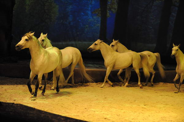 Cavalia-6-8-10-264-DDeRosaPhoto.jpg