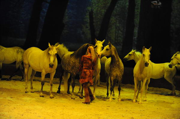 Cavalia-6-8-10-267-DDeRosaPhoto.jpg