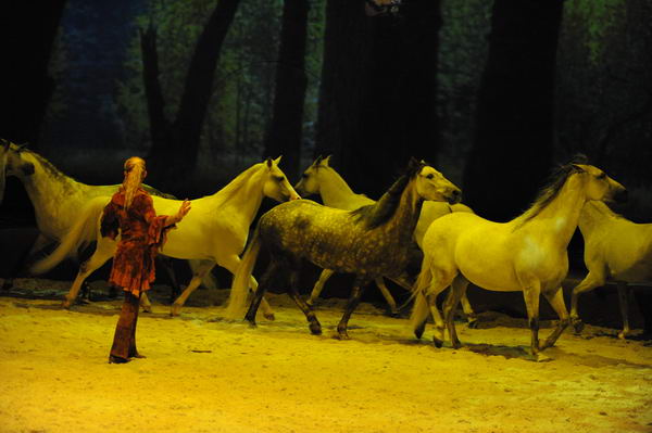 Cavalia-6-8-10-269-DDeRosaPhoto.jpg