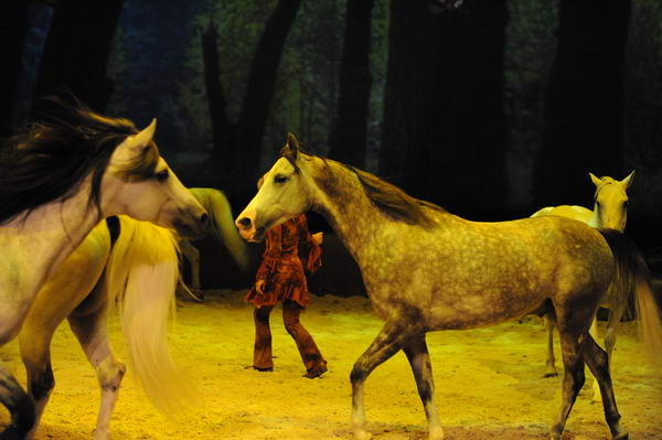 Cavalia-6-8-10-273-DDeRosaPhoto.jpg