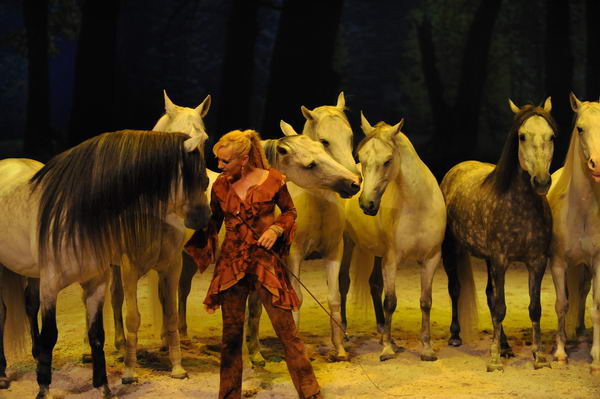 Cavalia-6-8-10-283-DDeRosaPhoto.jpg