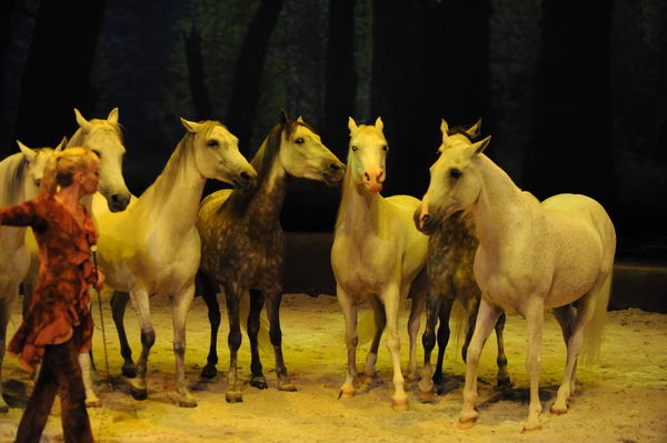 Cavalia-6-8-10-285-DDeRosaPhoto.jpg