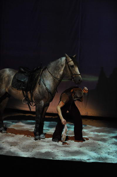 Cavalia-6-8-10-295-DDeRosaPhoto.jpg