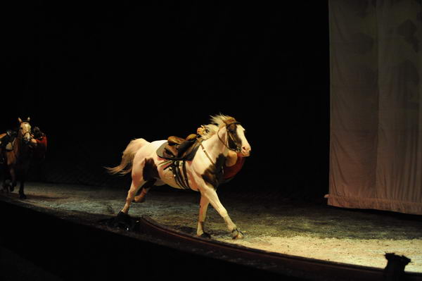 Cavalia-6-8-10-299-DDeRosaPhoto.jpg