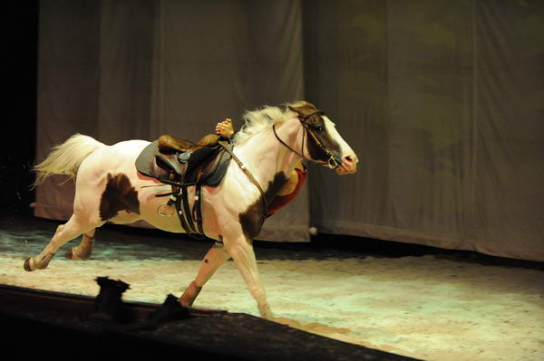 Cavalia-6-8-10-300-DDeRosaPhoto.jpg