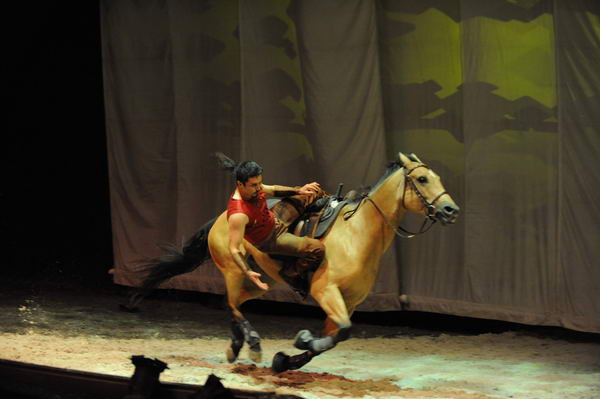 Cavalia-6-8-10-306-DDeRosaPhoto.jpg