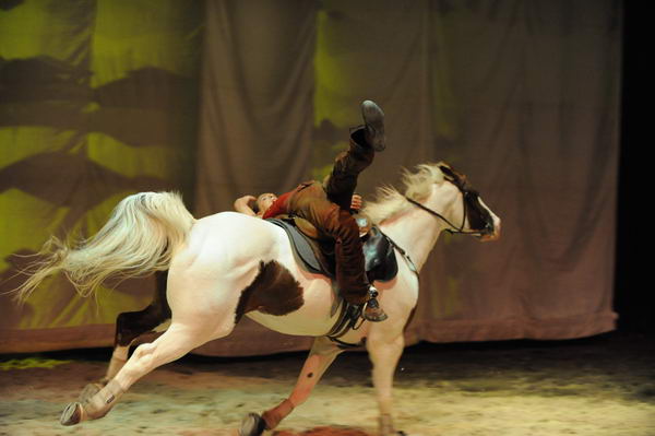 Cavalia-6-8-10-317-DDeRosaPhoto.jpg